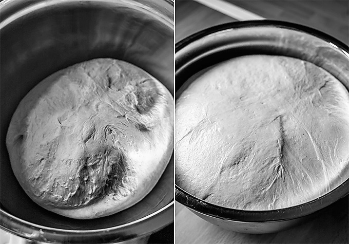 hacer pan con masa madre