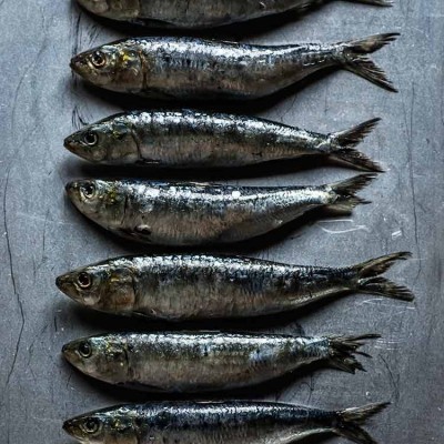 Sardinas a la plancha