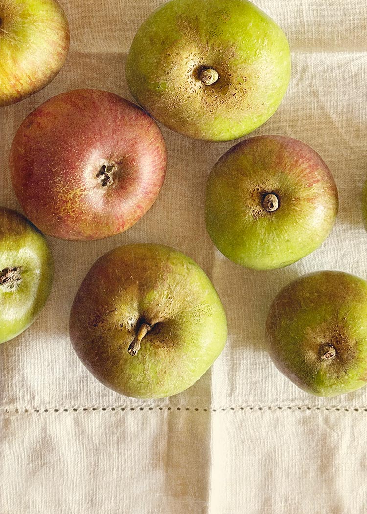 receta apple butter mantequilla manzana